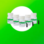 FILTEK ONE Jeringa 4 g - Imagen 3