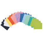 Servilletas plastificadas (500 uds.)